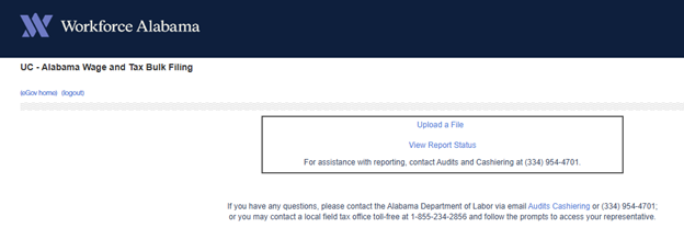 Alabama State Filing Instructions_3
