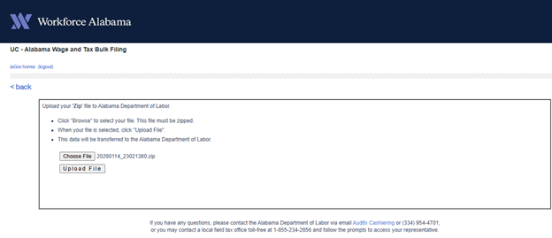 Alabama State Filing Instructions_4