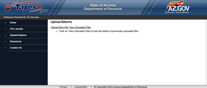 Arizona State Filing Instructions_11